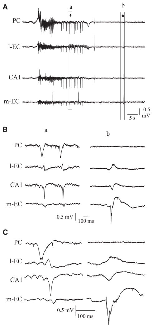 FIG. 5