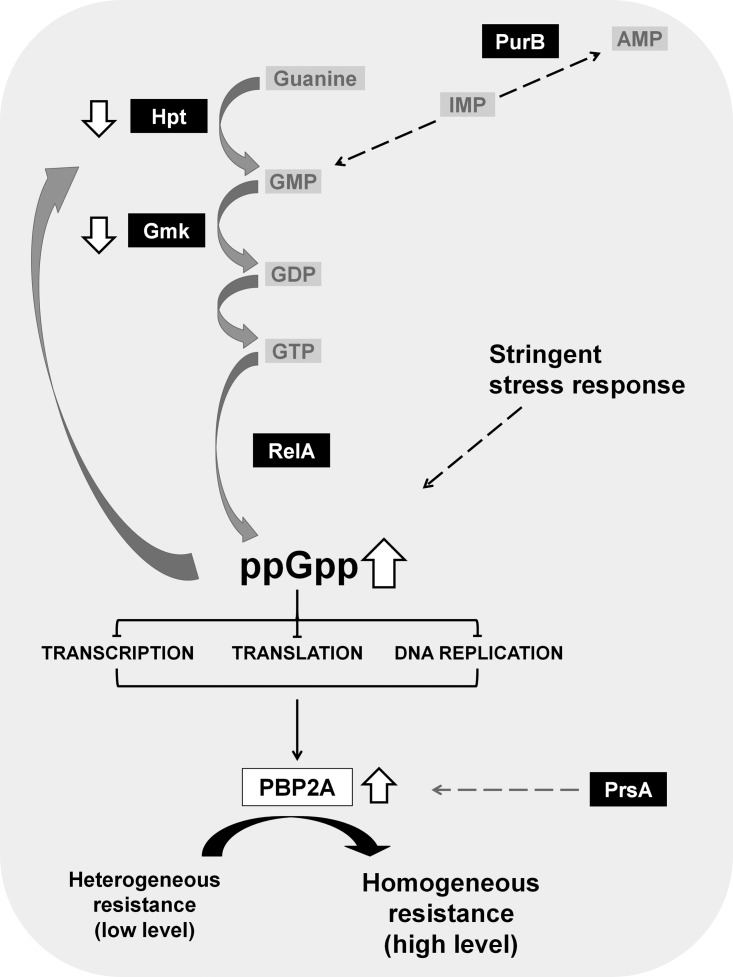 FIG 1