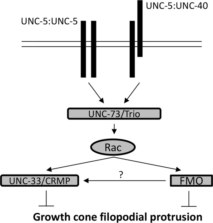 Fig 14