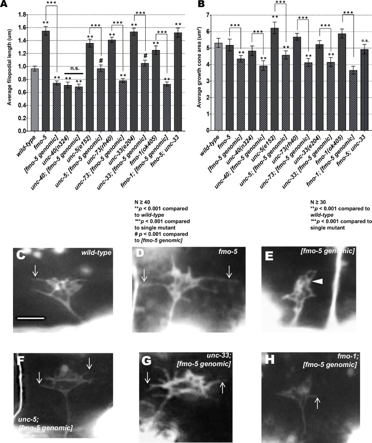 Fig 13