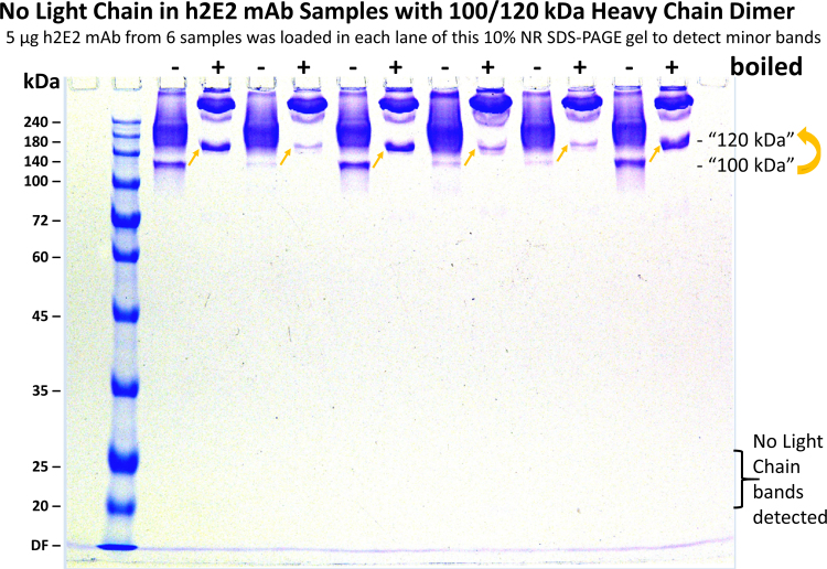 Fig. S1