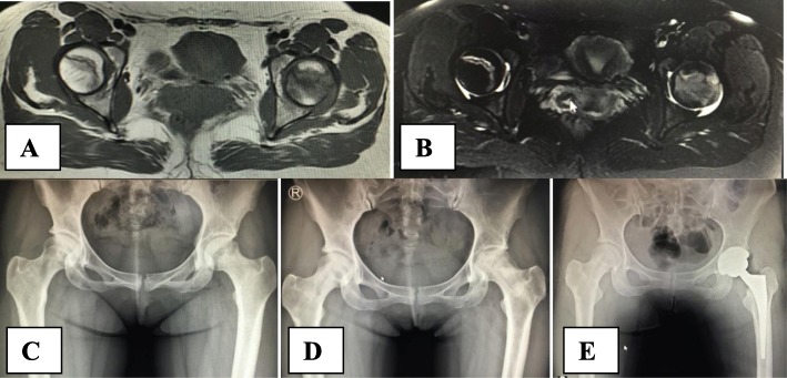 Fig. 5