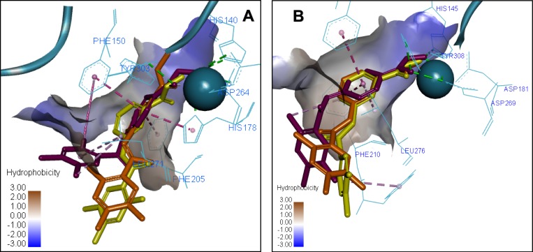 Figure 7