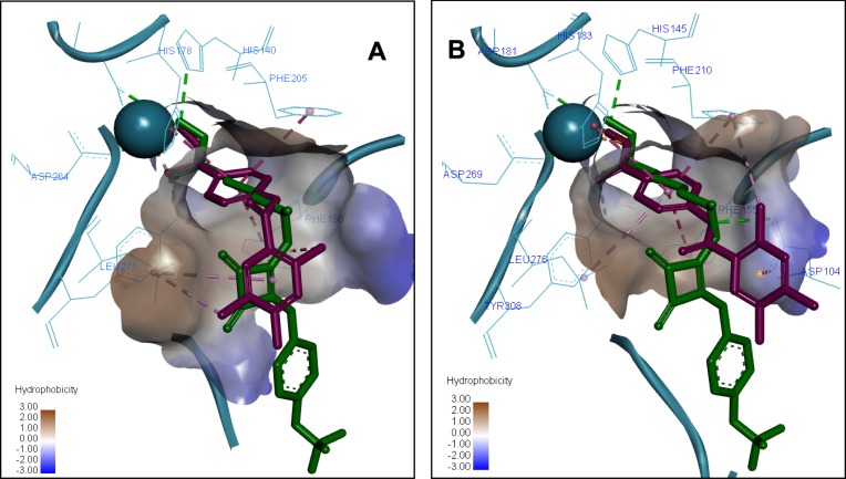 Figure 5