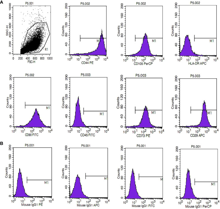 Figure 1