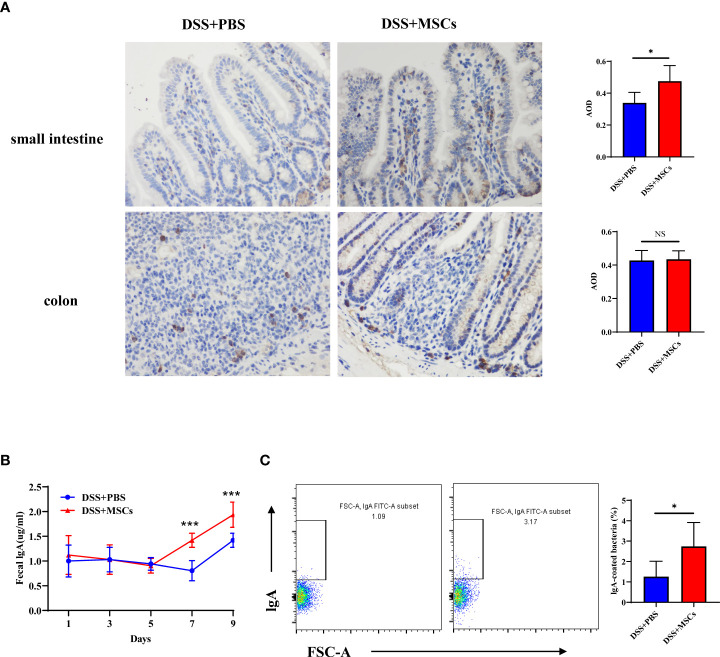 Figure 6