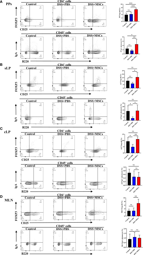 Figure 5