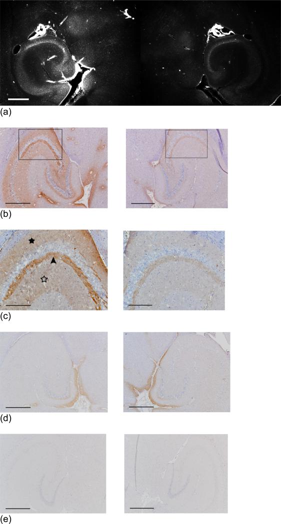 Fig. (10)