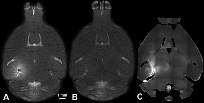 Fig. (7)