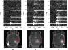 Fig. (3)