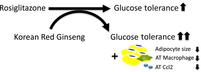 Fig. 6