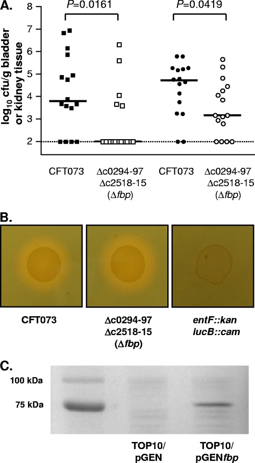 FIG. 6.