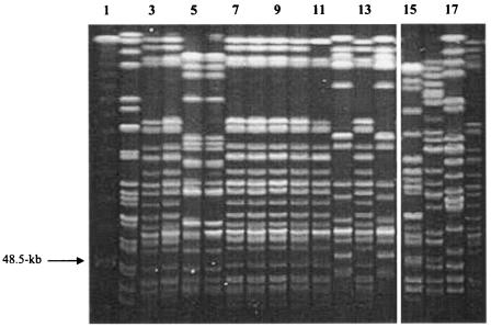 FIG. 1.