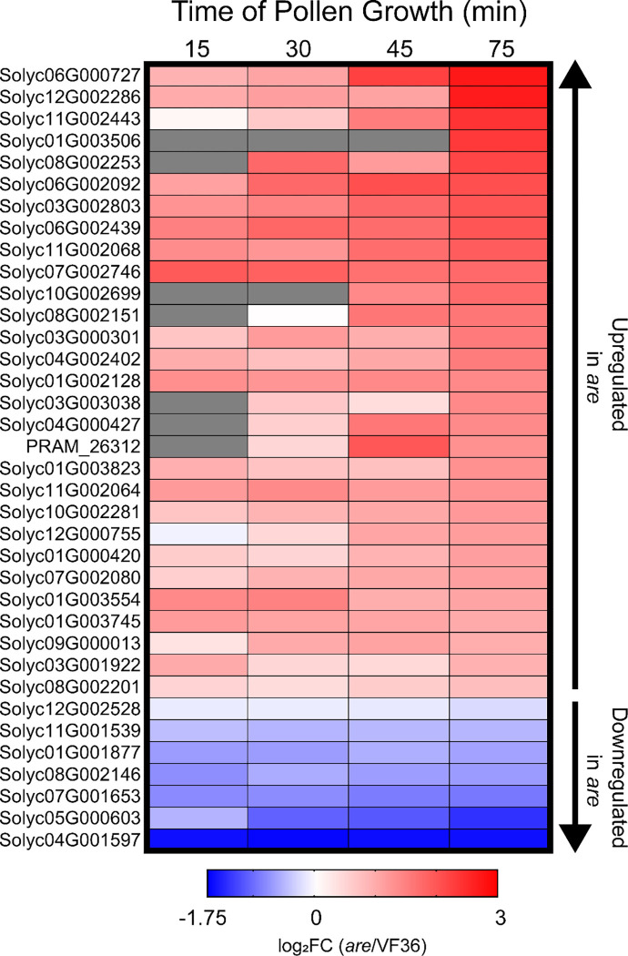 Figure 11.