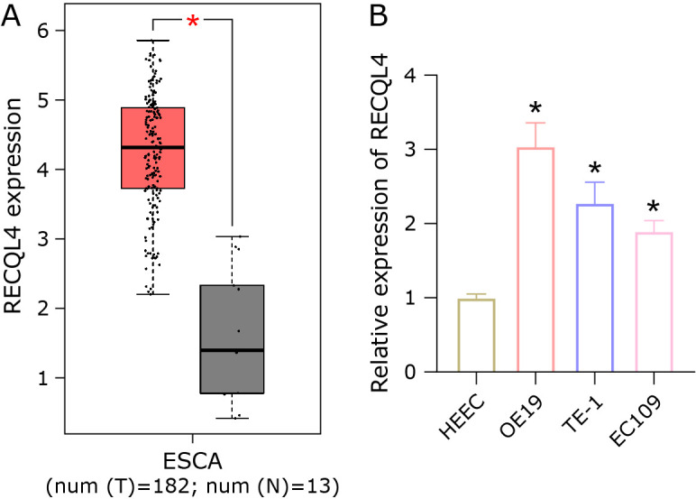 Fig. 1.