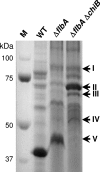 FIG. 4.