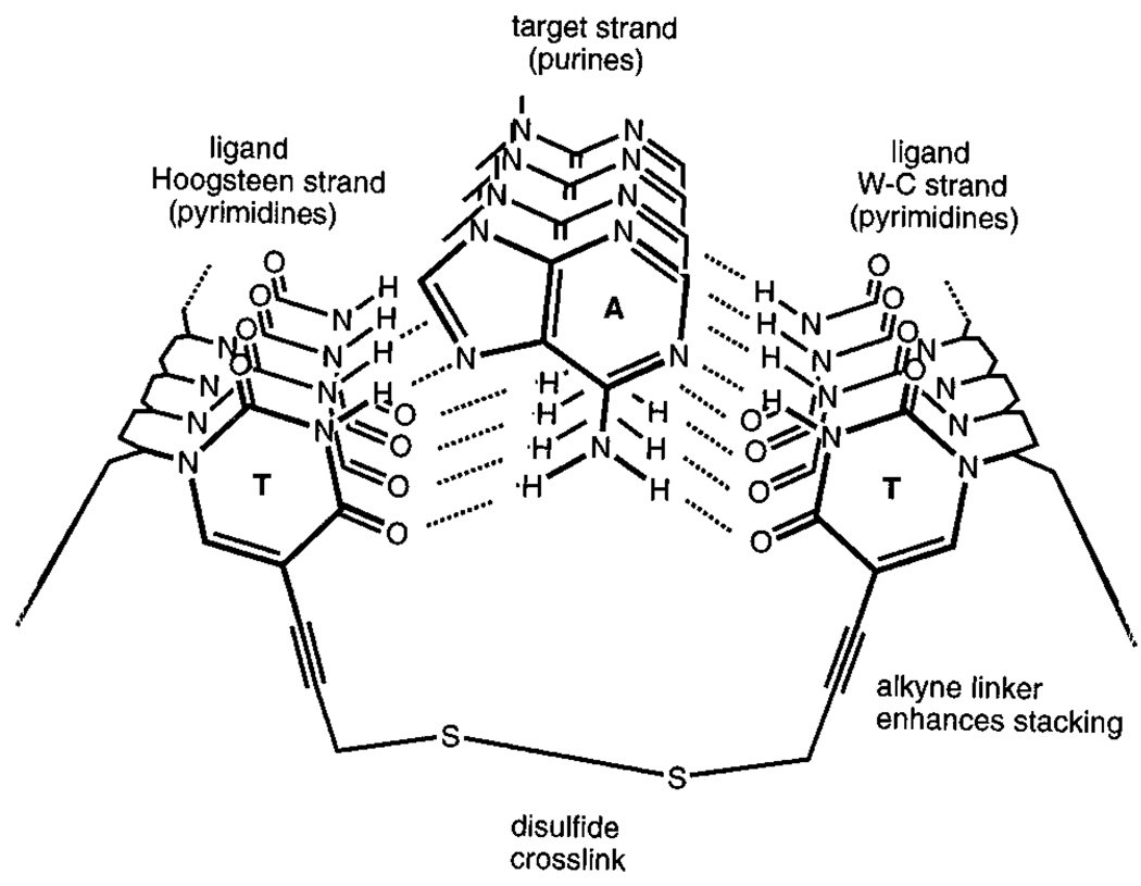 Figure 16