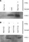 FIG. 4.