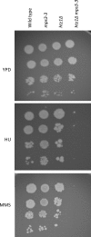 FIG. 6.