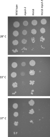 FIG. 5.