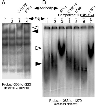 Fig 5.