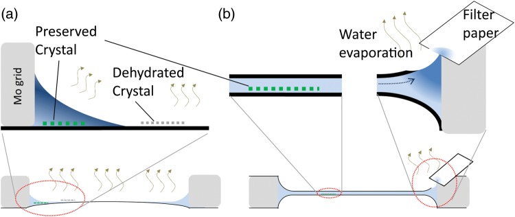 Fig.
3.