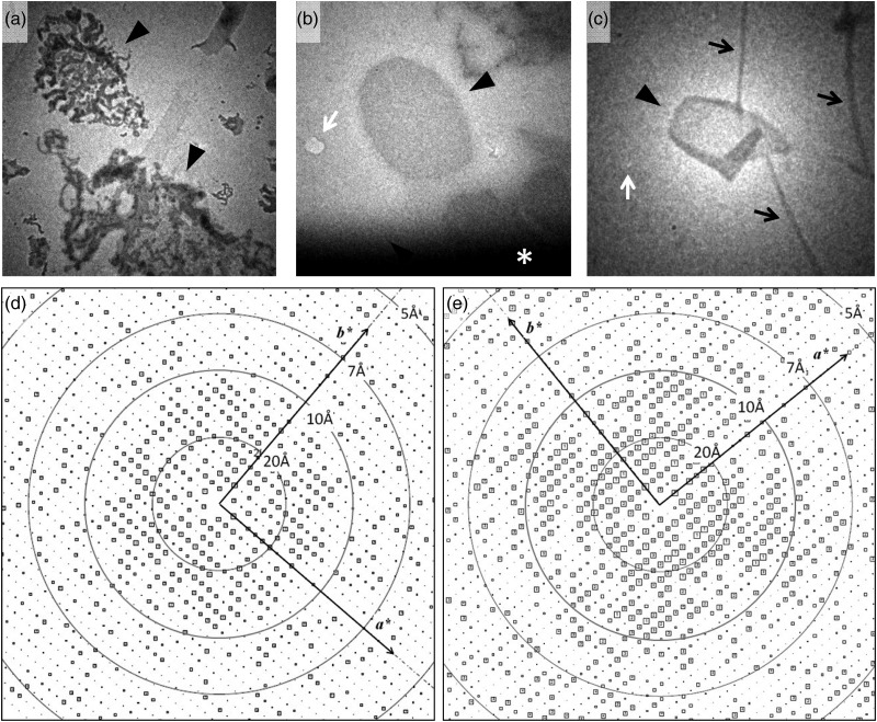 Fig.
2.