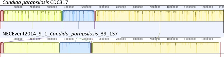 Figure 10—figure supplement 1.