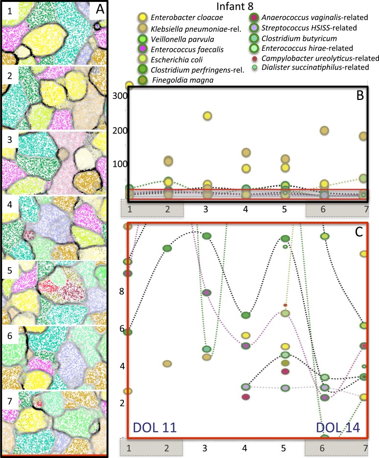 Figure 8—figure supplement 3.