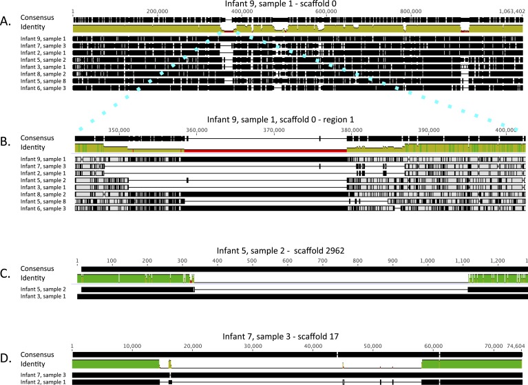 Figure 6.