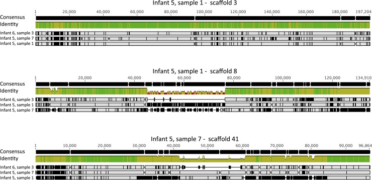 Figure 6—figure supplement 1.