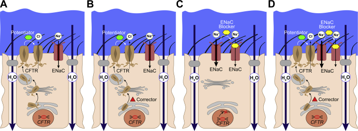 Figure 2