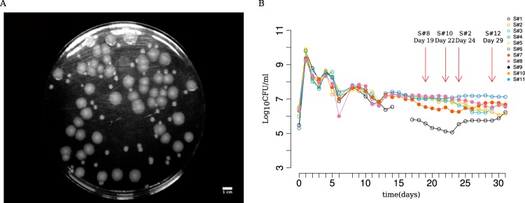 FIG 1