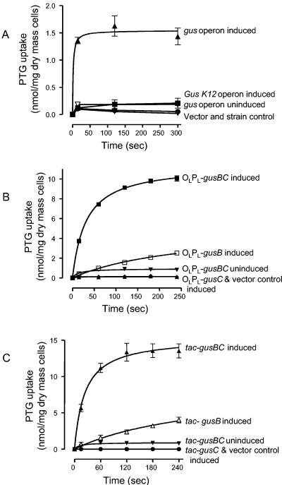 FIG. 2.