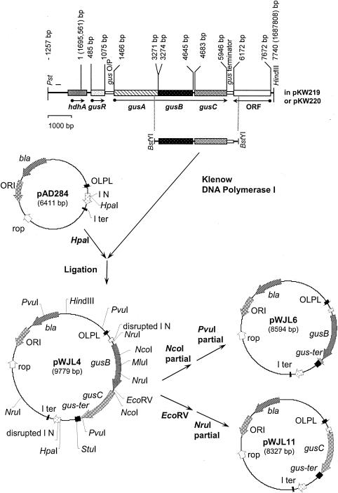 FIG. 1.