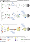 Figure 10.