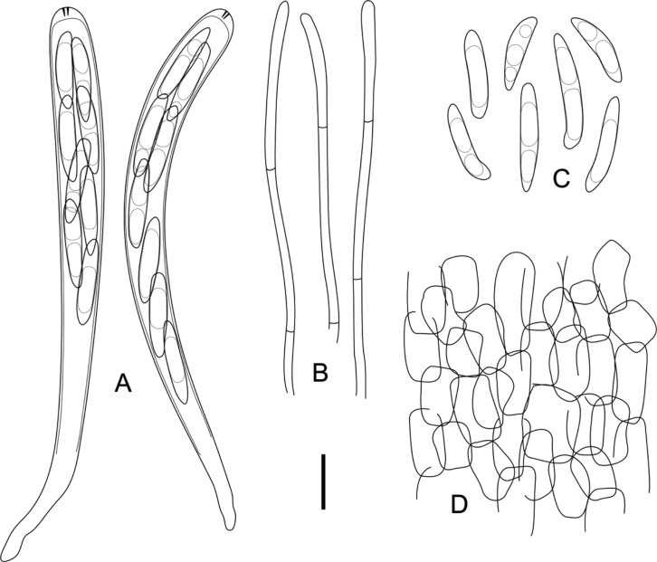 Fig. 3