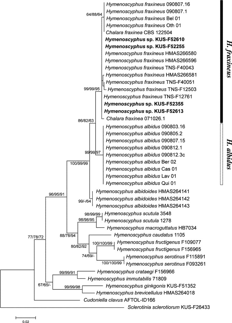 Fig. 4