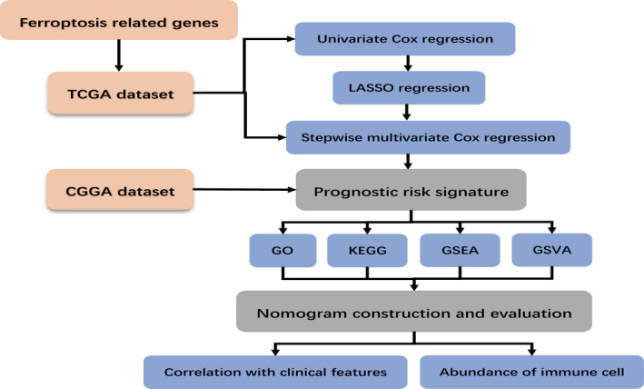 FIGURE 1