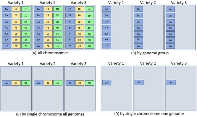 Figure 7.