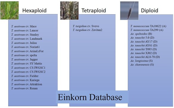 Figure 1.