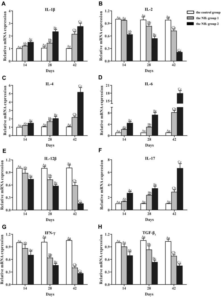 Figure 5