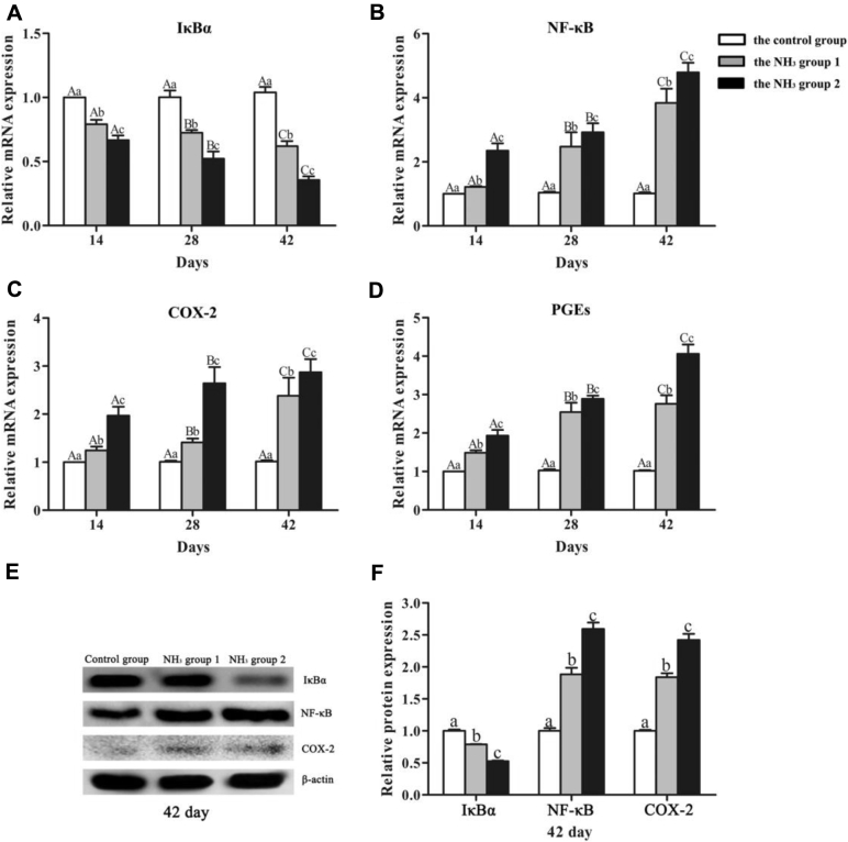 Figure 4