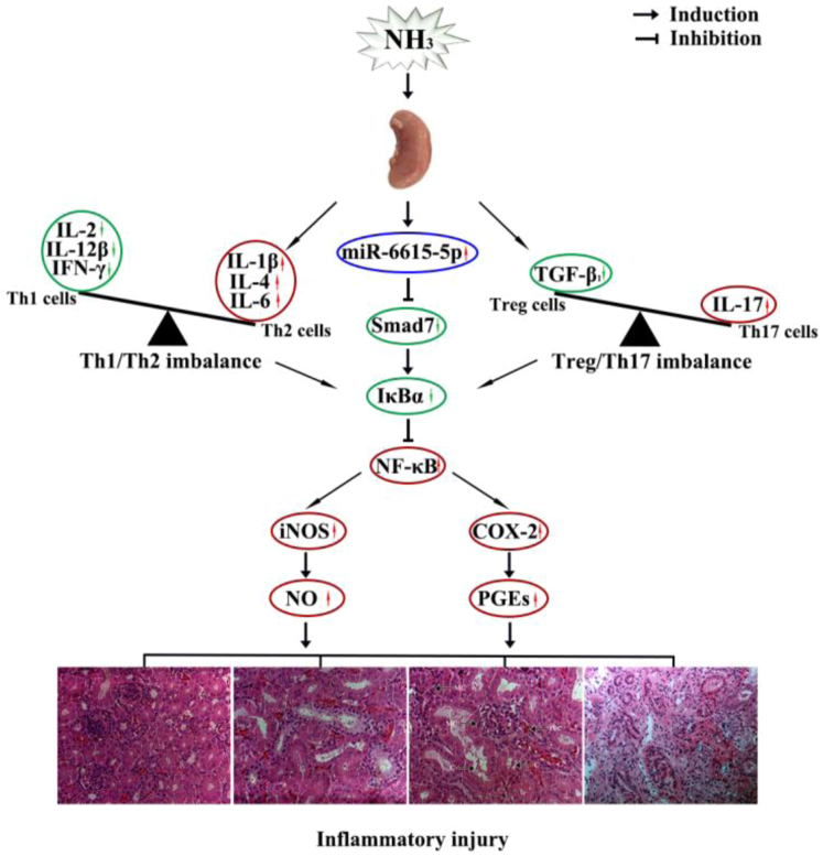 Figure 6