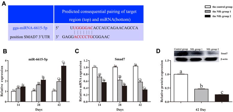 Figure 2