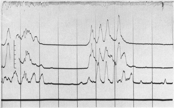 FIG. 7