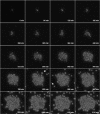 FIG. 2.