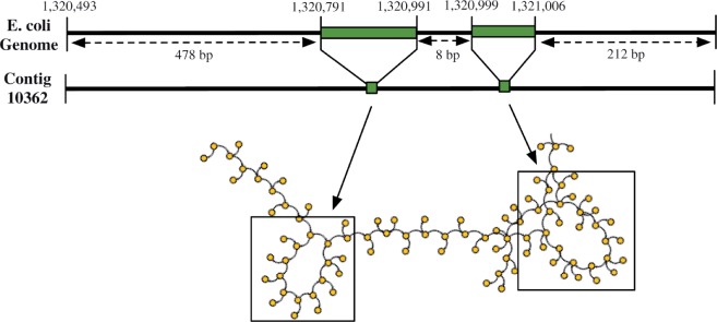 Fig. 6.