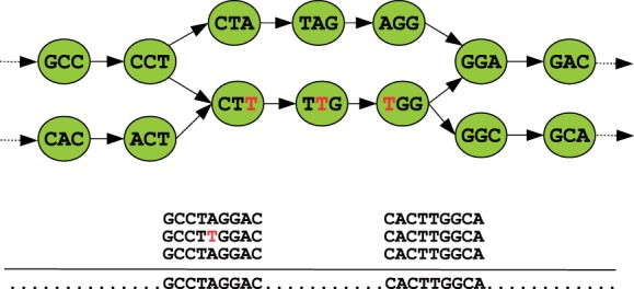 Fig. 1.