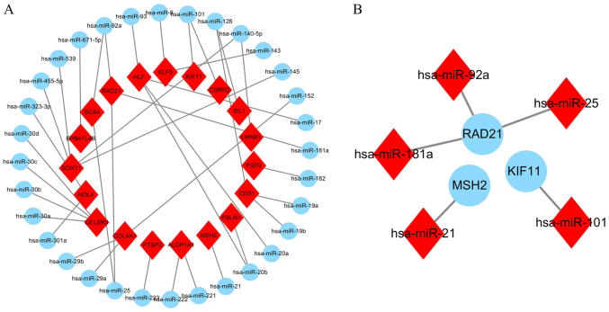 Figure 6.